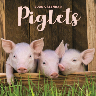 Cover image for 9781529848861 - Piglets Square Mini Calendar 2026