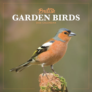 Cover image for 9781529848915 - British Garden Birds Square Mini Calenda