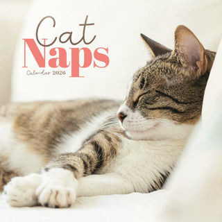 Cover image for 9781529848922 - Cat Naps Square Mini Calendar 2026