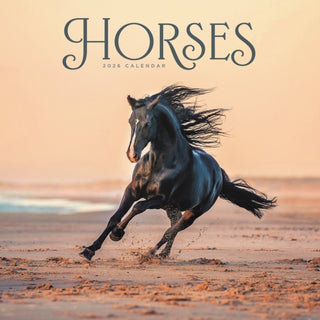 Cover image for 9781529849127 - Horses Wiro Wall Calendar 2026