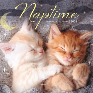 Cover image for 9781529849394 - Naptime Square Mini Sunday Start Calenda