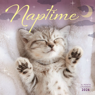 Cover image for 9781529849462 - Naptime Square Wall Sunday Start Calenda