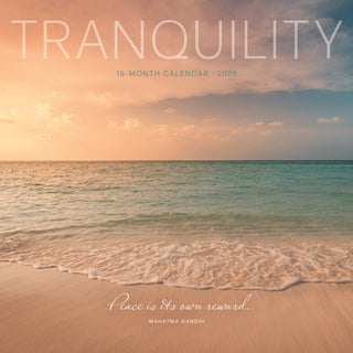 Cover image for 9781529849486 - Tranquillity Square Wall Sunday Start Ca