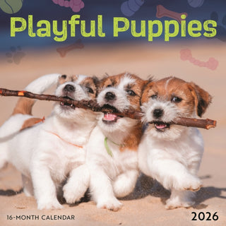 Cover image for 9781529849608 - Playful Puppies Square Mini Sunday Start