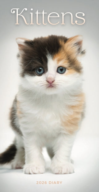 Cover image for 9781529849646 - Kittens Slim Diary 2026