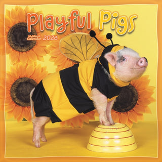 Cover image for 9781529849684 - Pigs Playful Square Wall Sunday Start Ca