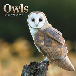 Cover image for 9781529849868 - Owls Square Mini Calendar 2026