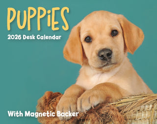 Cover image for 9781529849899 - Puppies Mini Box Calendar 2026