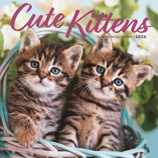Cover image for 9781529850147 - Kittens Square Wall Sunday Start Calenda