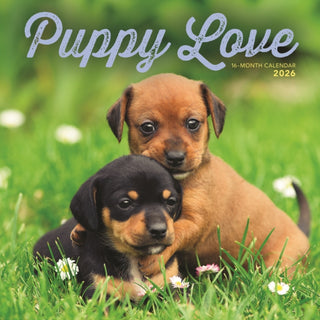 Cover image for 9781529850185 - Puppy Love Square Wall Sunday Start Cale