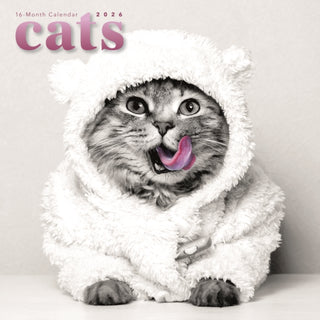 Cover image for 9781529850192 - Cats Square Wall Sunday Start Calendar 2