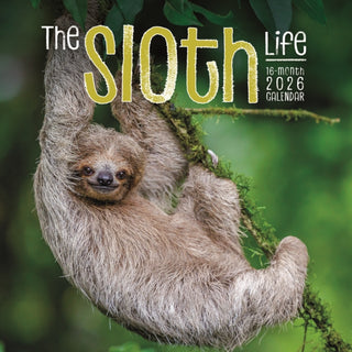 Cover image for 9781529850208 - Sloths Square Wall Sunday Start Calendar