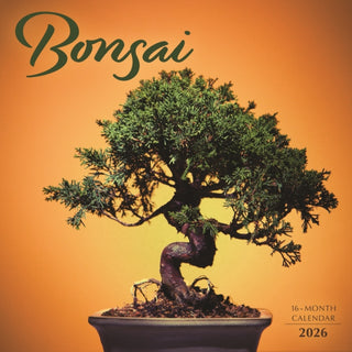 Cover image for 9781529850338 - Bonsai Square Wall Sunday Start Calendar