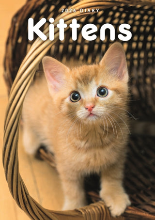 Cover image for 9781529850468 - Kittens A5 Diary 2026