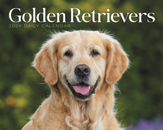 Cover image for 9781529850888 - Goldens Retrievers Box Calendar 2026