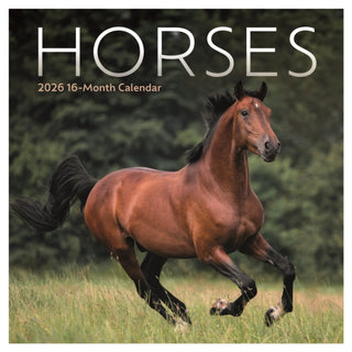 Cover image for 9781529850932 - Horses Square Mini Sunday Start Calendar