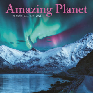Cover image for 9781529850963 - Amazing Planet Square Mini Sunday Start