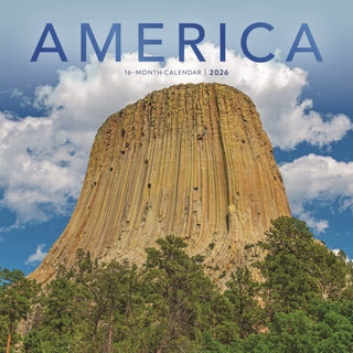 Cover image for 9781529850970 - America Square Wall Sunday Start Calenda