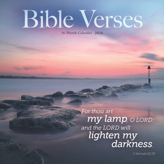 Cover image for 9781529851014 - Bible Verses Square Wall Sunday Start Ca