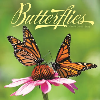 Cover image for 9781529851038 - Butterflies Square Wall Sunday Start Cal
