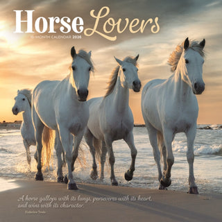 Cover image for 9781529851137 - Horse Lovers Square Wall Sunday Start Ca