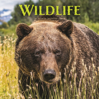 Cover image for 9781529851236 - Wildlife Square Wall Sunday Start Calend