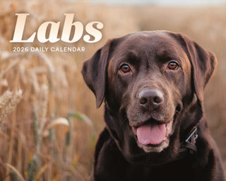 Cover image for 9781529851458 - Labs Box Calendar 2026