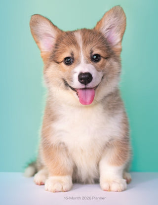 Cover image for 9781529851472 - Puppies Sunday Start A5 Planner Diary 2026