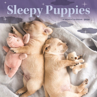 Cover image for 9781529851557 - Sleepy Puppies Square Mini Sunday Start