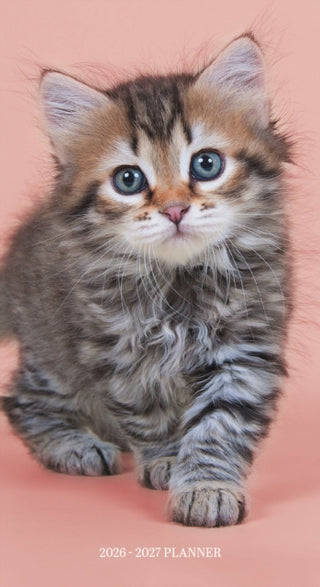 Cover image for 9781529851632 - Kittens Sunday Start 2 Year Pocket Planner Diary 2026-7