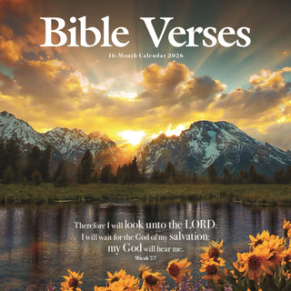 Cover image for 9781529851717 - Bible Verses Square Wall Sunday Start Ca