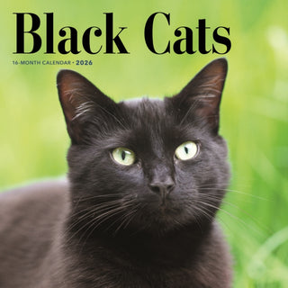 Cover image for 9781529851724 - Black Cats Square Wall Sunday Start Cale