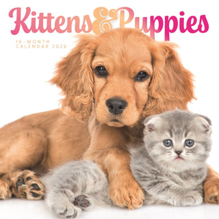 Cover image for 9781529851731 - Kittens & Puppies Square Wall Sunday Sta