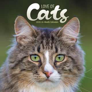 Cover image for 9781529851755 - Love Of Cats Square Wall Sunday Start Ca