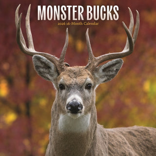Cover image for 9781529851786 - Monster Bucks Square Wall Sunday Start C