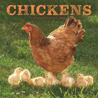 Cover image for 9781529851823 - Chickens Square Wall Sunday Start Calend