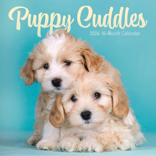 Cover image for 9781529851847 - Puppy Cuddles Square Wall Sunday Start C