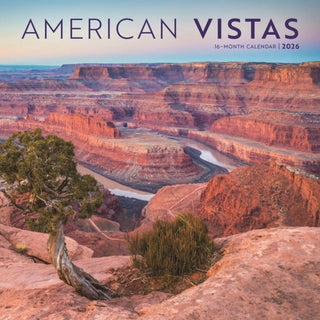 Cover image for 9781529851861 - American Vistas Square Wall Sunday Start