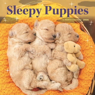 Cover image for 9781529851885 - Sleepy Puppies Square Wall Sunday Start