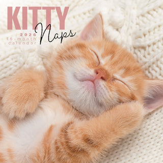 Cover image for 9781529851939 - Kitty Naps Square Wall Sunday Start Cale