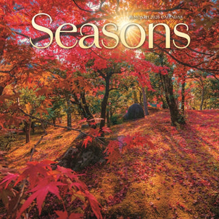 Cover image for 9781529851977 - Seasons Square Wall Sunday Start Calenda