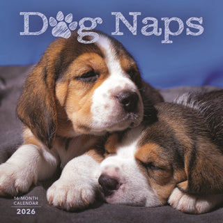 Cover image for 9781529851991 - Dog Naps Square Wall Sunday Start Calend
