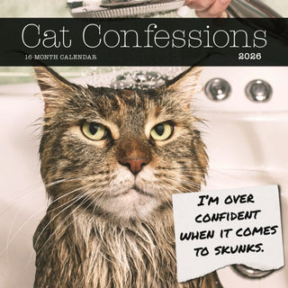 Cover image for 9781529852004 - Cat Confessions Square Wall Sunday Start