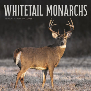 Cover image for 9781529852073 - Whitetail Monarchs Square Wall Sunday St
