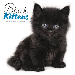 Cover image for 9781529852097 - Black Kittens Square Wall Sunday Start C
