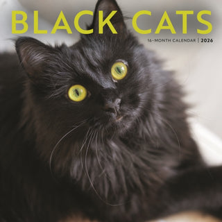 Cover image for 9781529852516 - Black Cats Square Wall Sunday Start Cale