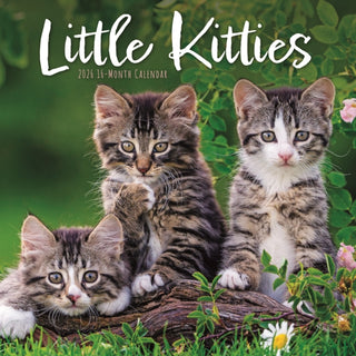 Cover image for 9781529852523 - Little Kitties Square Wall Sunday Start