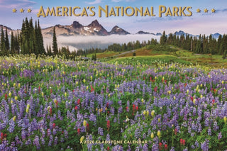 Cover image for 9781529852592 - Americas National Parks Deluxe Wall Sund