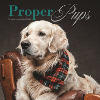 Cover image for 9781529852653 - Proper Pups Square Wall Proper Pupssunda