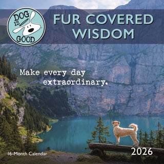 Cover image for 9781529853544 - Dog Is Good Fur Covered Wisdom Square Mi